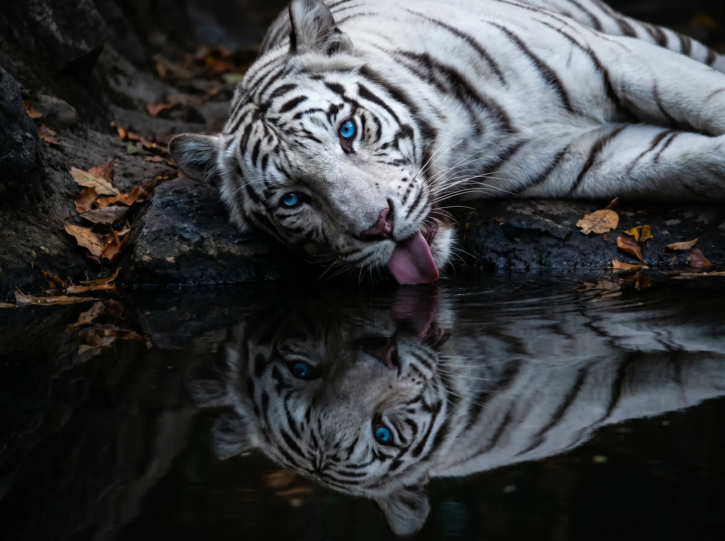 AI image by Wemmerson Ferreira picked as one of ten winners of the Bonus Reward weekly challenge
