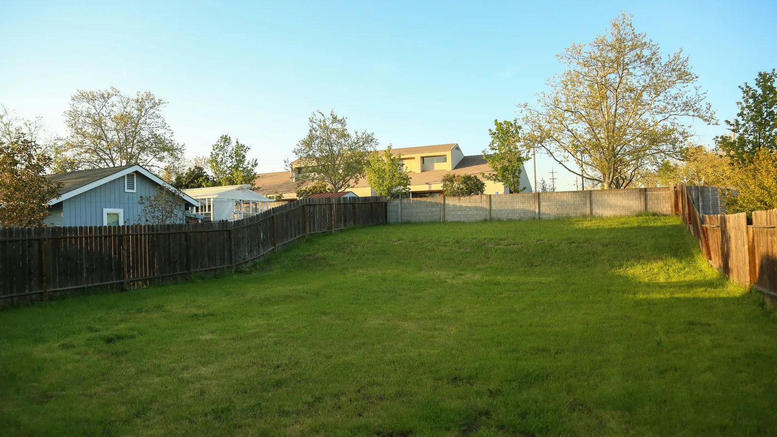 Before: a wide, empty, sunny backyard lawn bordered by wood fences with a shed behind